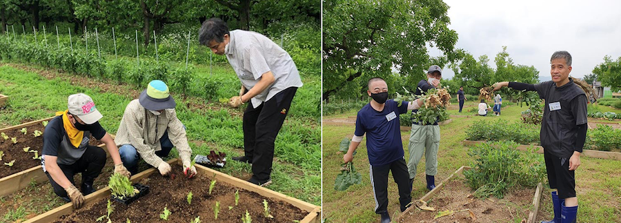 감각 훈련 및 작업수행능력 향상으로 발달장애인의 인지건강 관리를 돕는 케어팜 사례